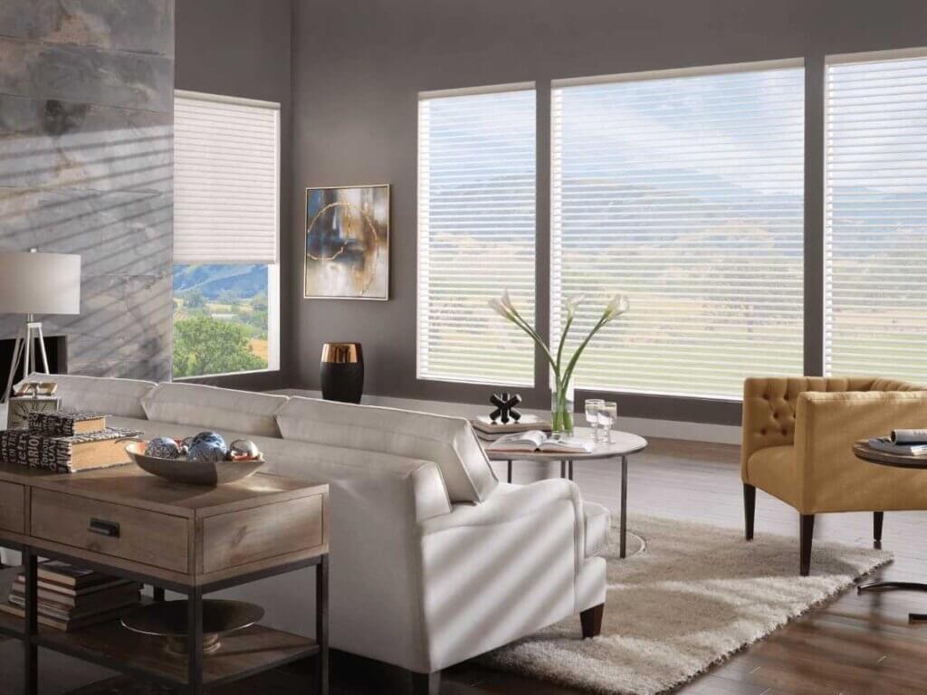 Sheer Shades in the living room