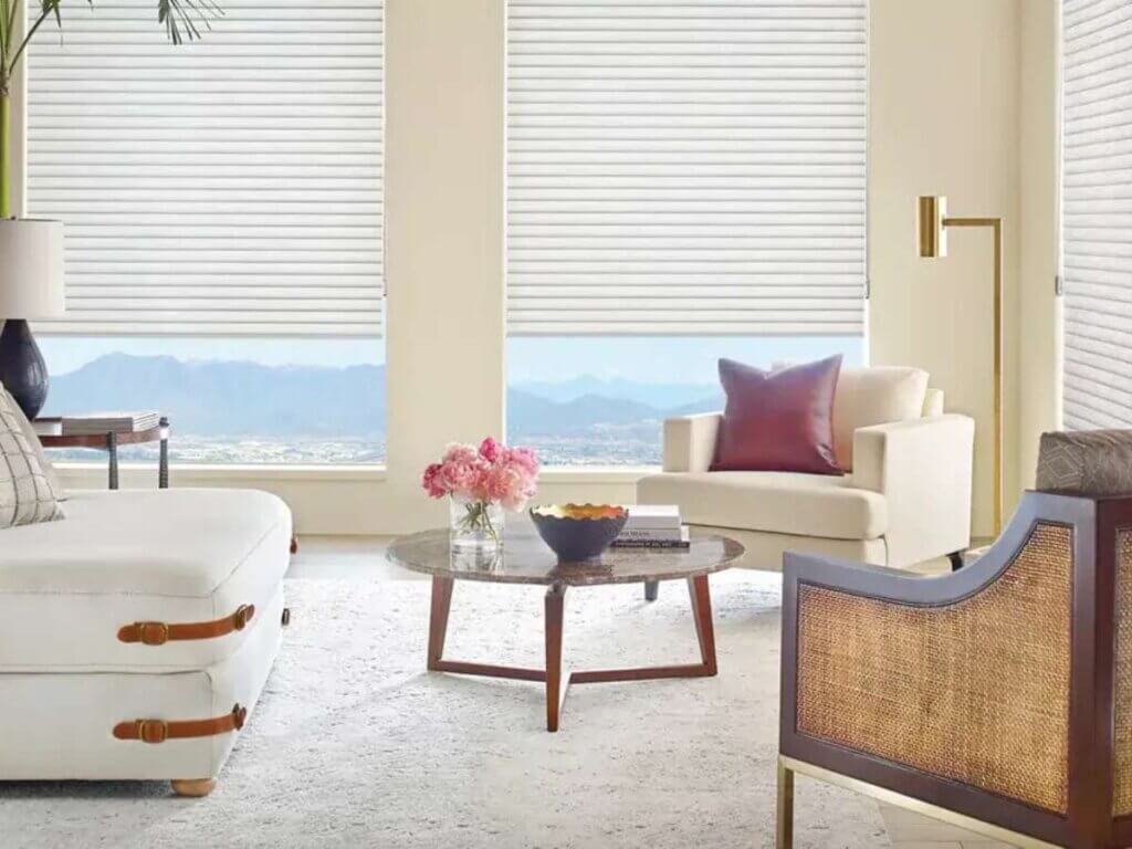 Hunter Douglas Cellular Shades In A Living Room