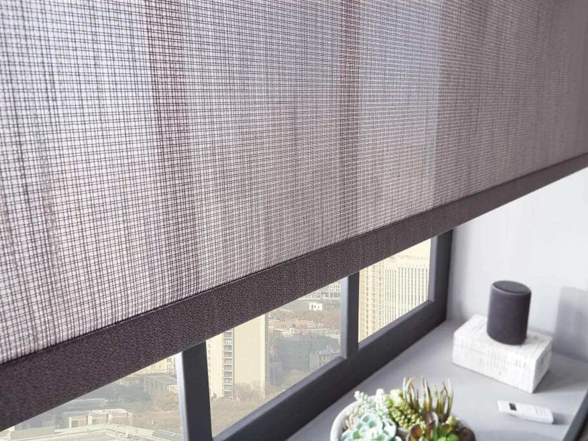 Solar Shades Close Up